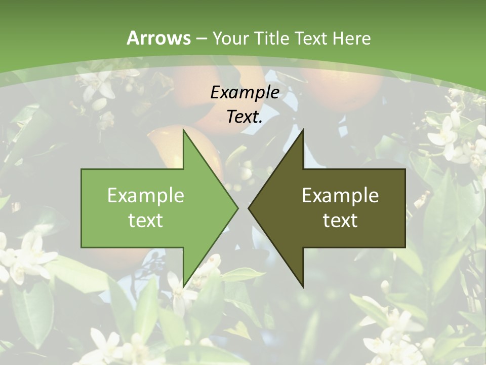 Orange Tree PowerPoint Template