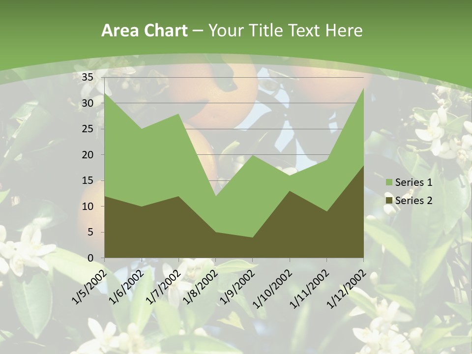 Orange Tree PowerPoint Template