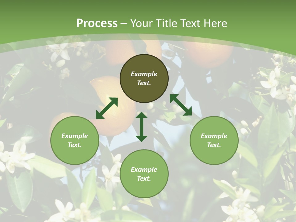 Orange Tree PowerPoint Template