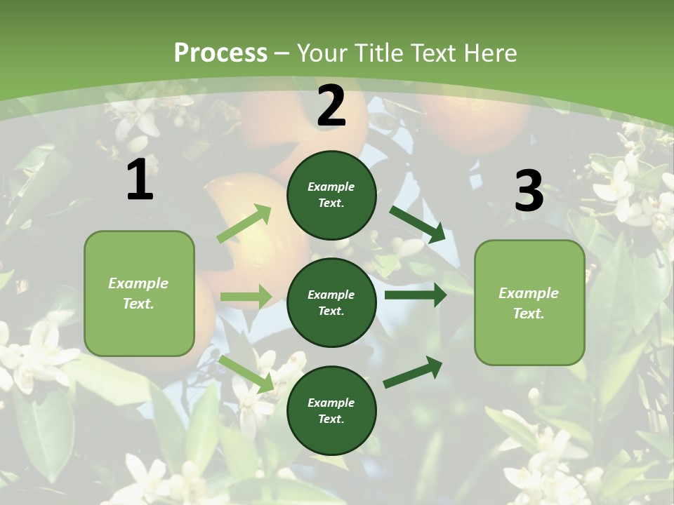 Orange Tree PowerPoint Template