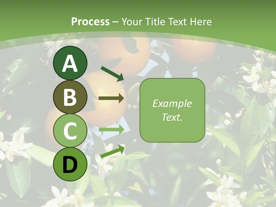 Orange Tree PowerPoint Template