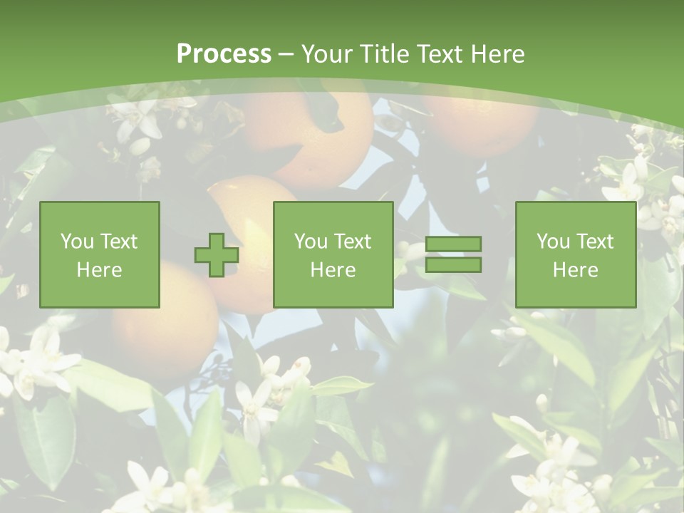 Orange Tree PowerPoint Template