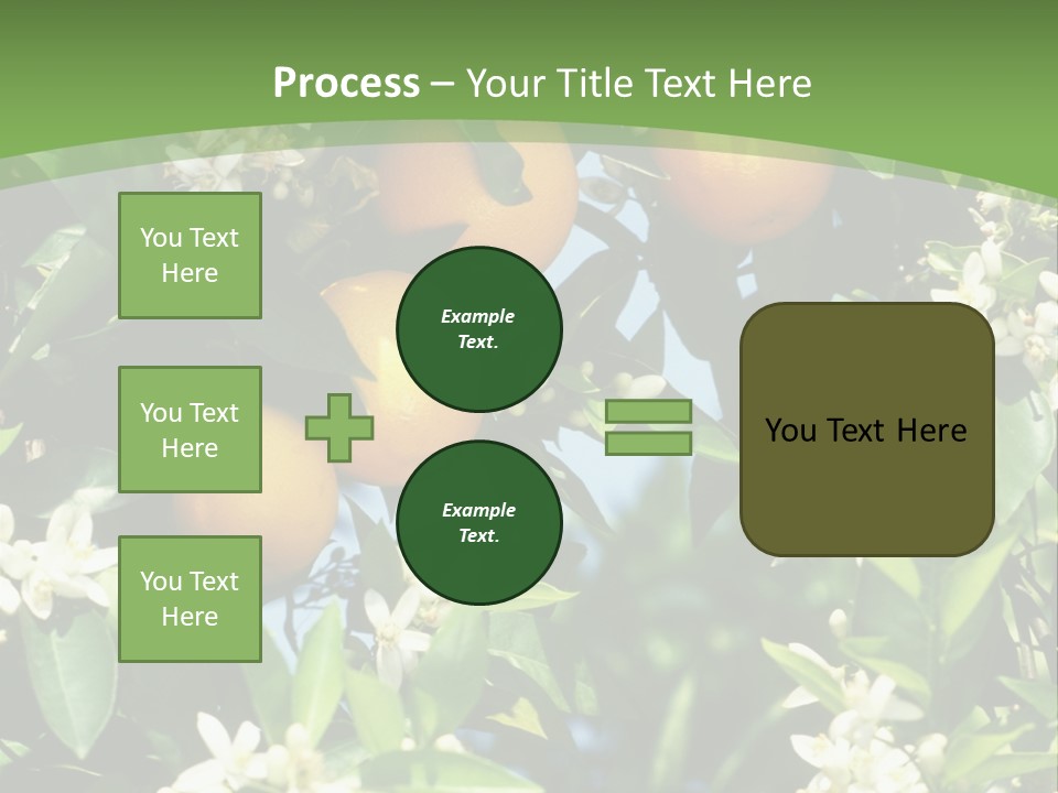Orange Tree PowerPoint Template