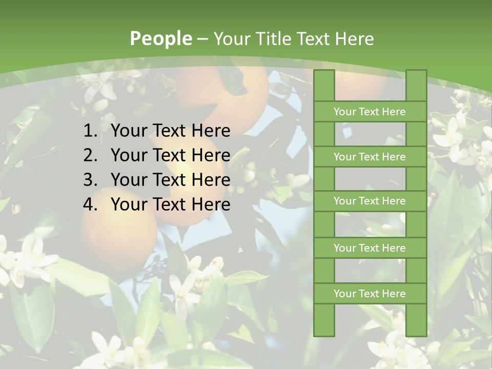 Orange Tree PowerPoint Template