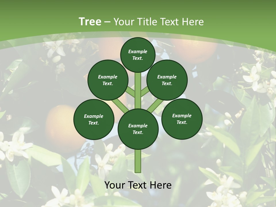 Orange Tree PowerPoint Template
