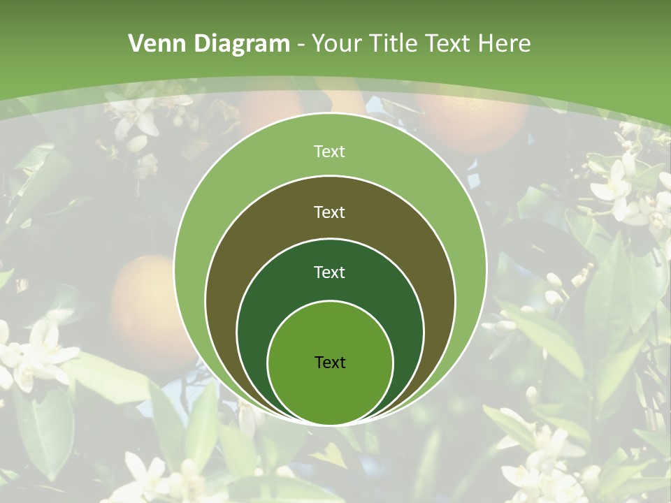 Orange Tree PowerPoint Template
