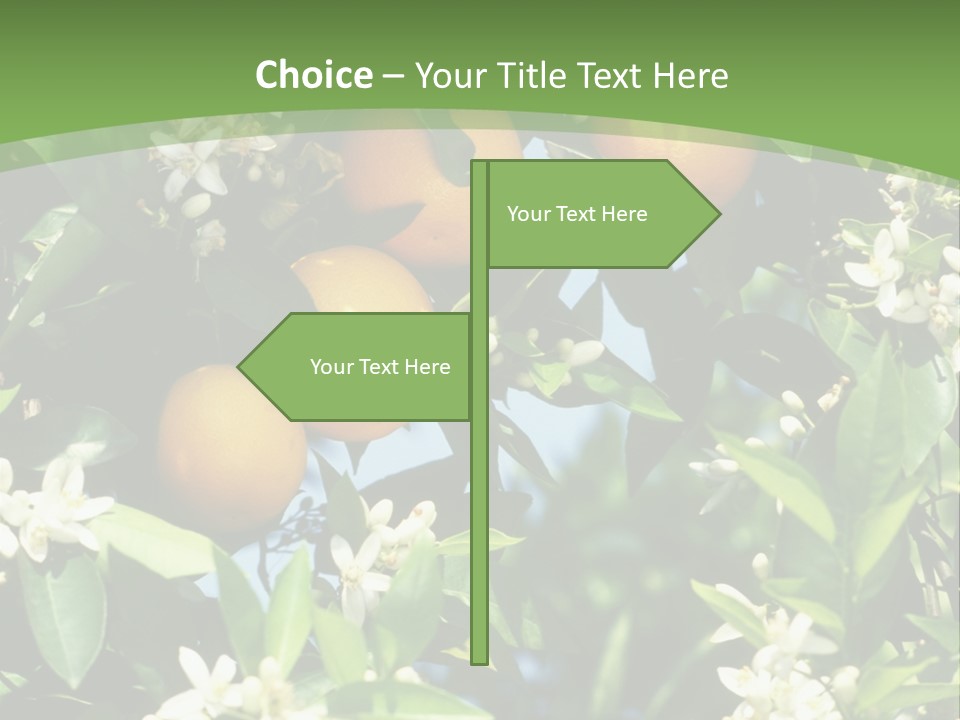 Orange Tree PowerPoint Template
