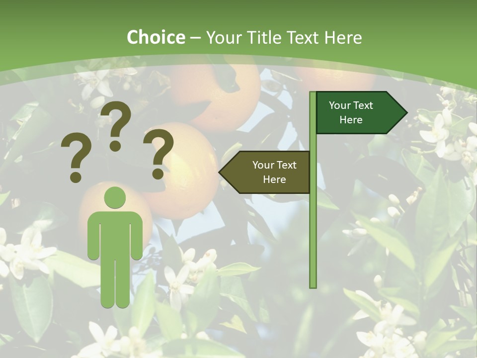 Orange Tree PowerPoint Template