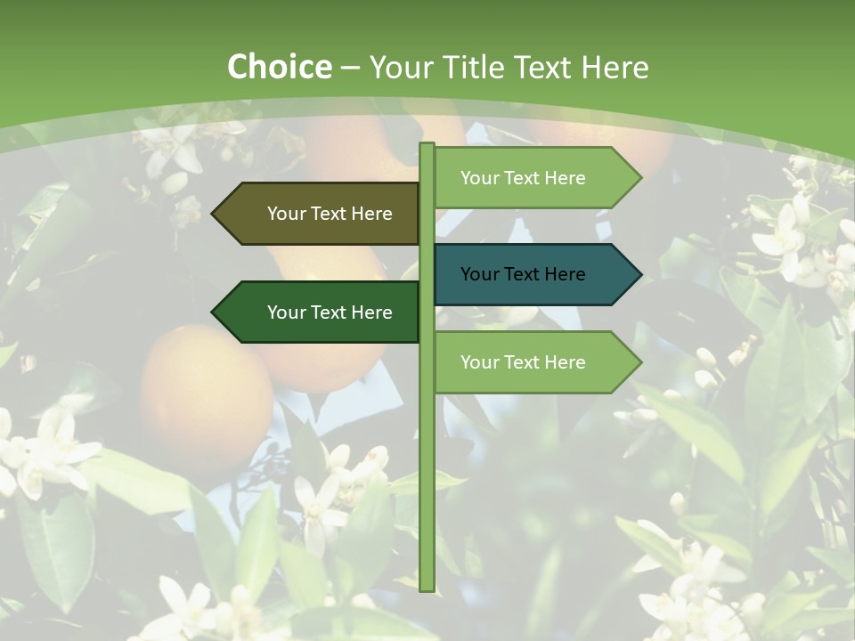 Orange Tree PowerPoint Template