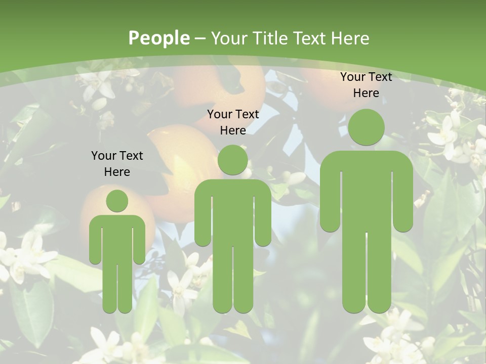 Orange Tree PowerPoint Template