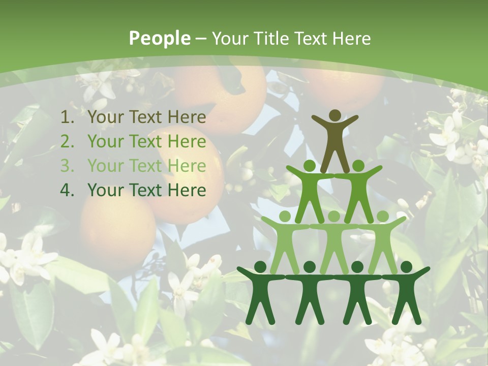 Orange Tree PowerPoint Template