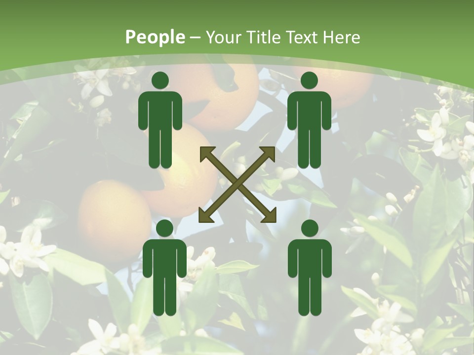 Orange Tree PowerPoint Template