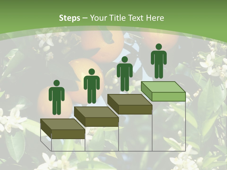 Orange Tree PowerPoint Template