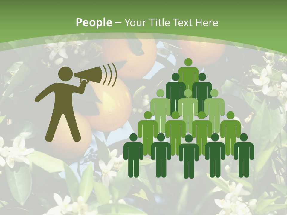 Orange Tree PowerPoint Template