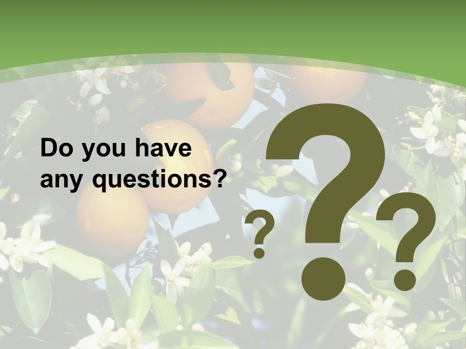 Orange Tree PowerPoint Template