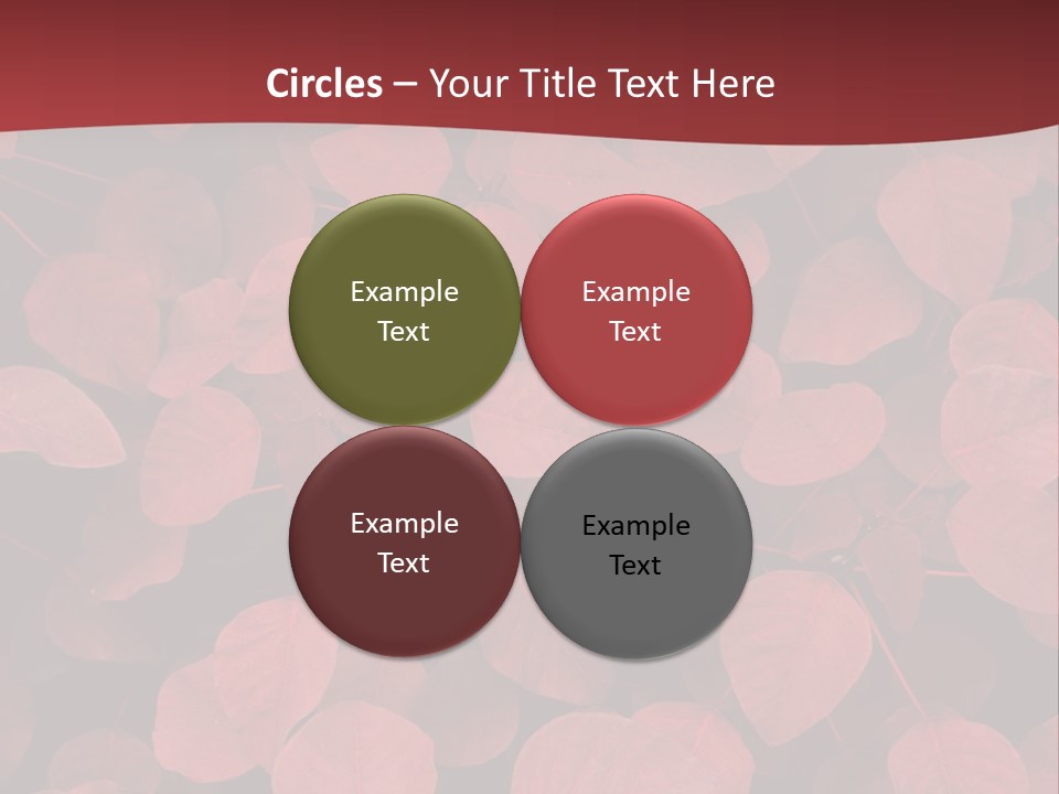 Red Petals PowerPoint Template