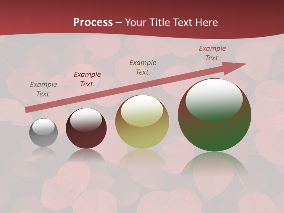 Red Petals PowerPoint Template