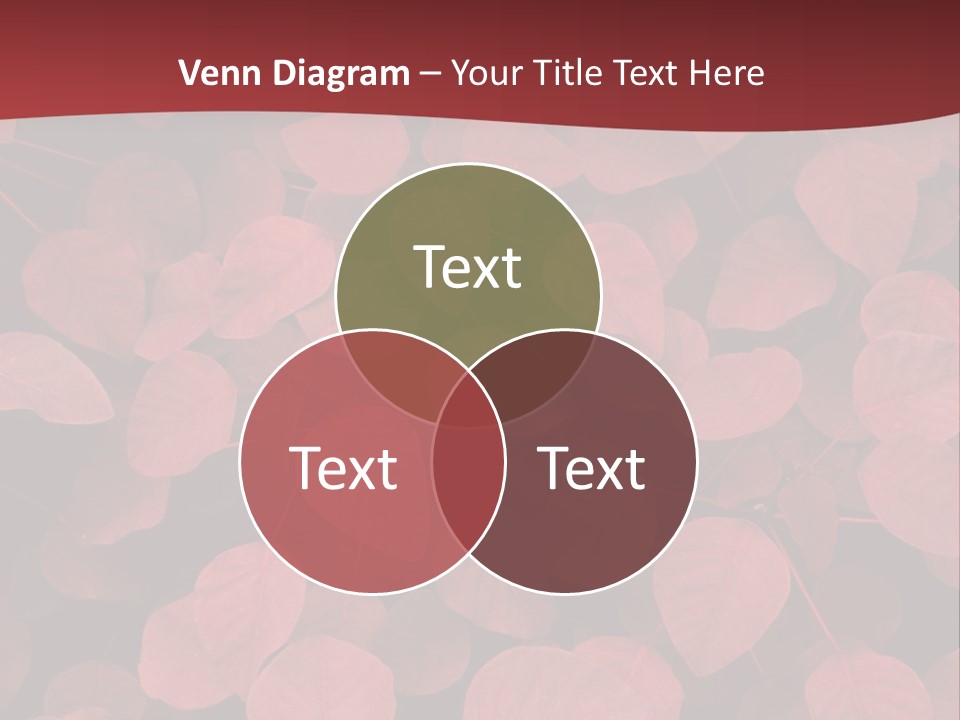 Red Petals PowerPoint Template