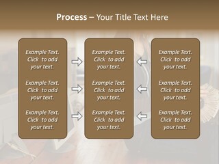 Woman Looking Through Rotary Card File PowerPoint Template