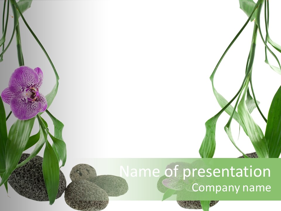 Purple Parma Leaf PowerPoint Template