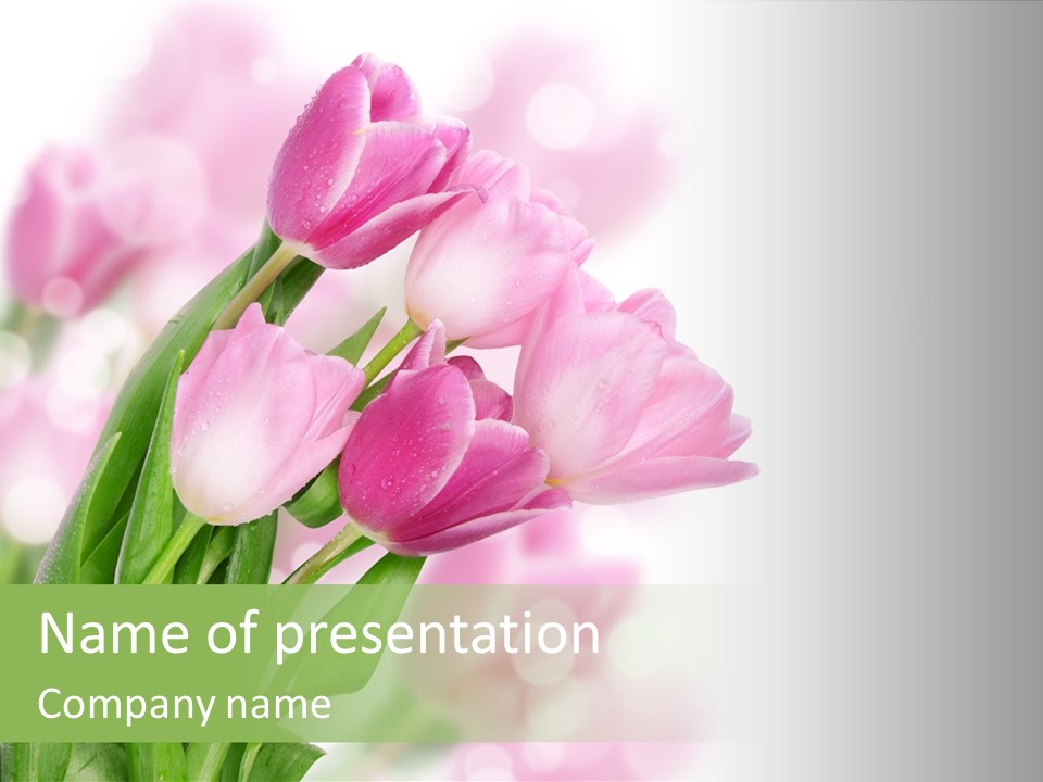 Isolated Day Home PowerPoint Template