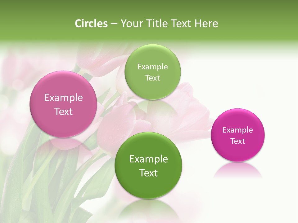 Isolated Day Home PowerPoint Template