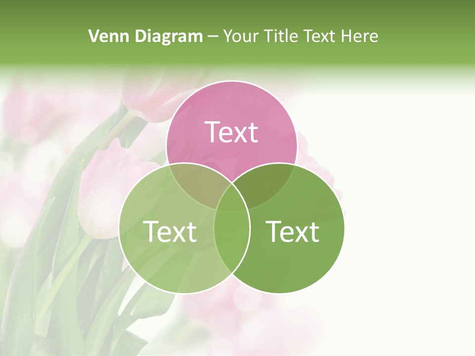 Isolated Day Home PowerPoint Template