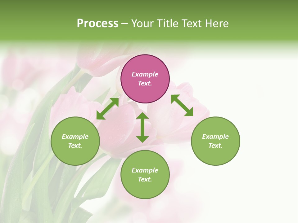 Isolated Day Home PowerPoint Template