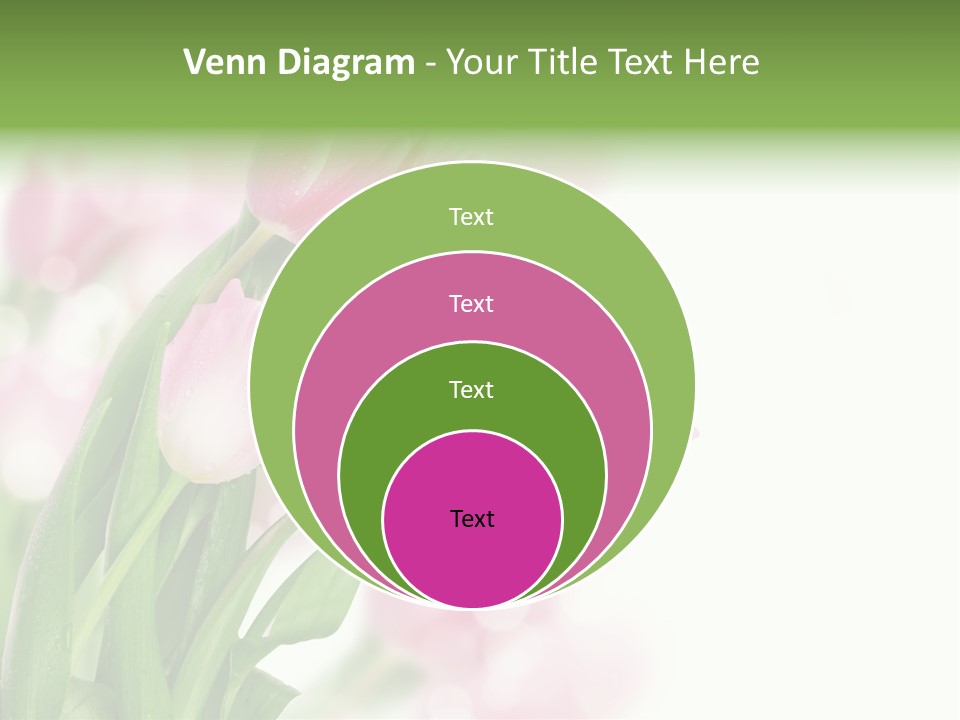 Isolated Day Home PowerPoint Template