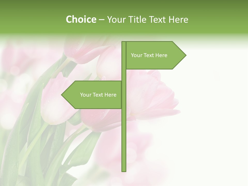 Isolated Day Home PowerPoint Template