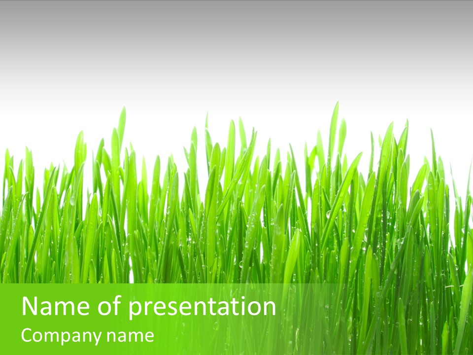 Background Bright Day PowerPoint Template