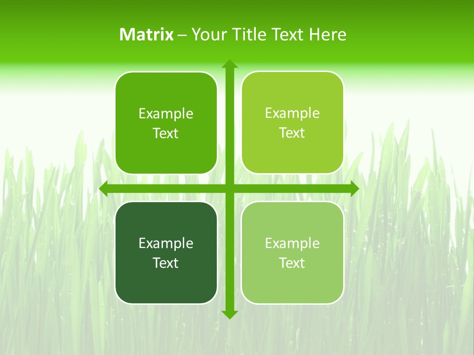 Background Bright Day PowerPoint Template