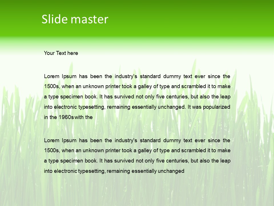 Background Bright Day PowerPoint Template