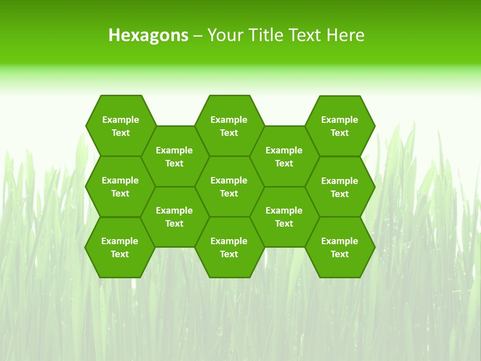 Background Bright Day PowerPoint Template