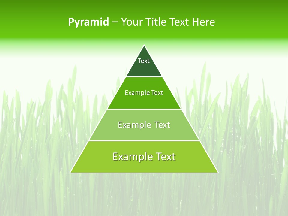 Background Bright Day PowerPoint Template