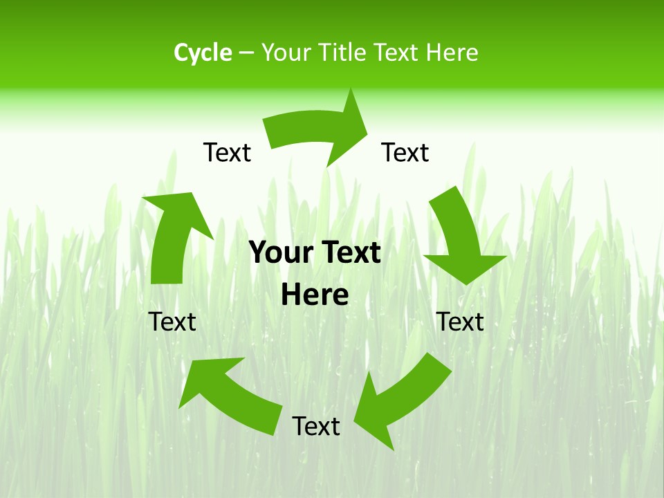 Background Bright Day PowerPoint Template