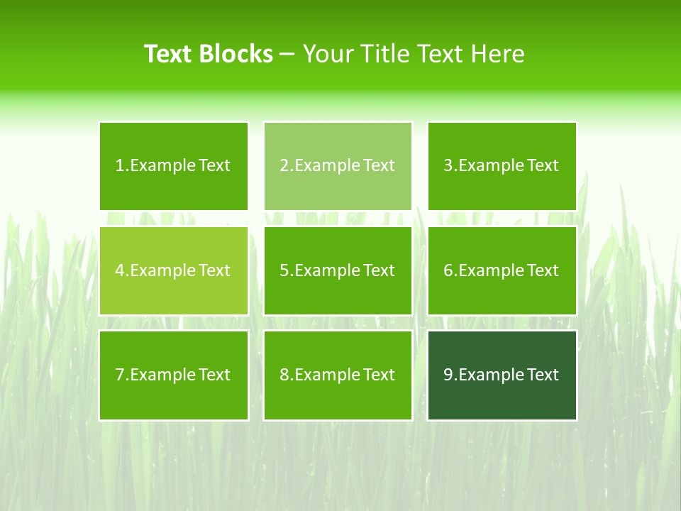 Background Bright Day PowerPoint Template