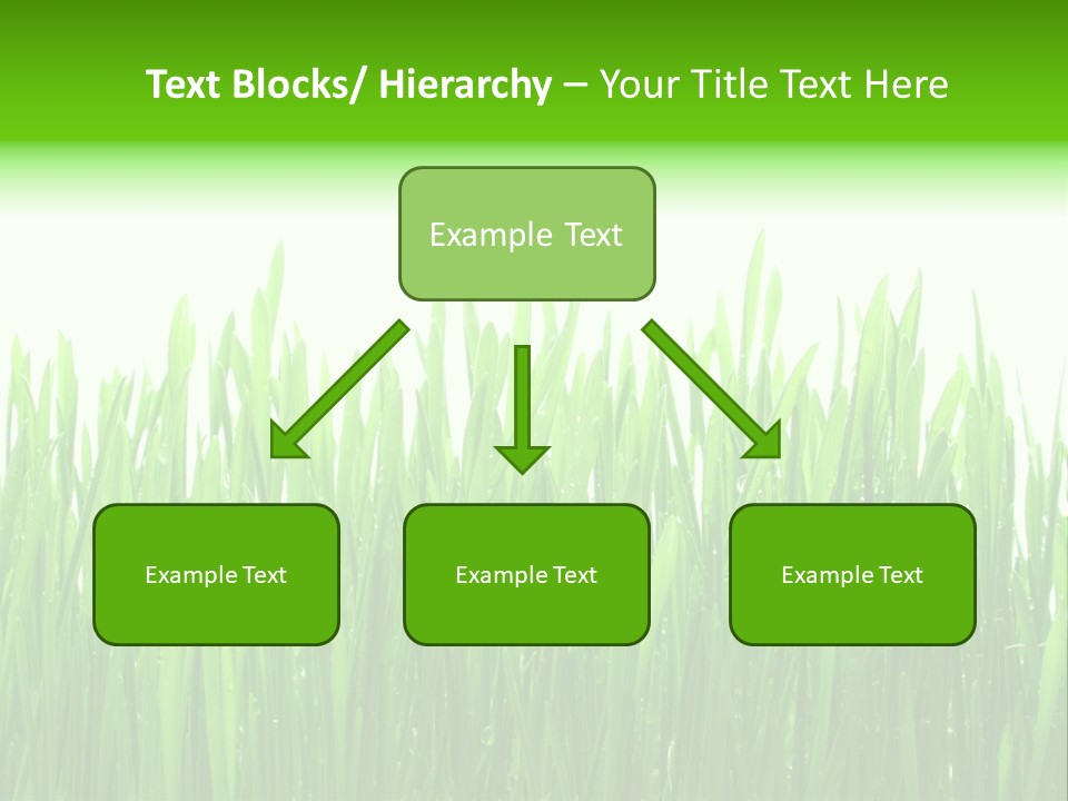 Background Bright Day PowerPoint Template