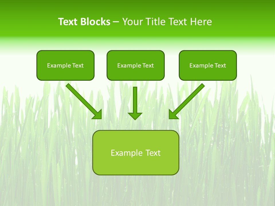 Background Bright Day PowerPoint Template