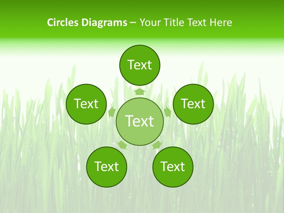 Background Bright Day PowerPoint Template