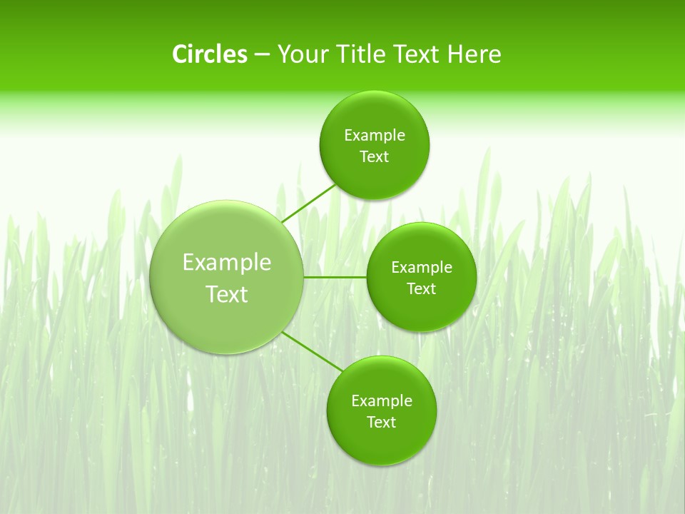 Background Bright Day PowerPoint Template