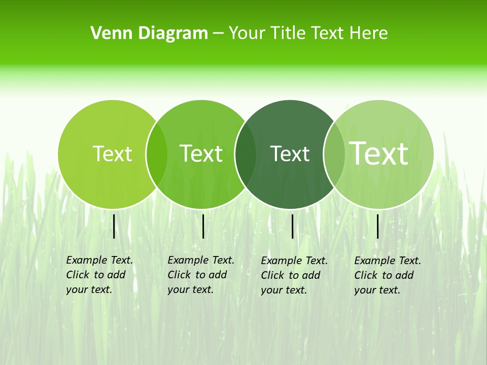 Background Bright Day PowerPoint Template