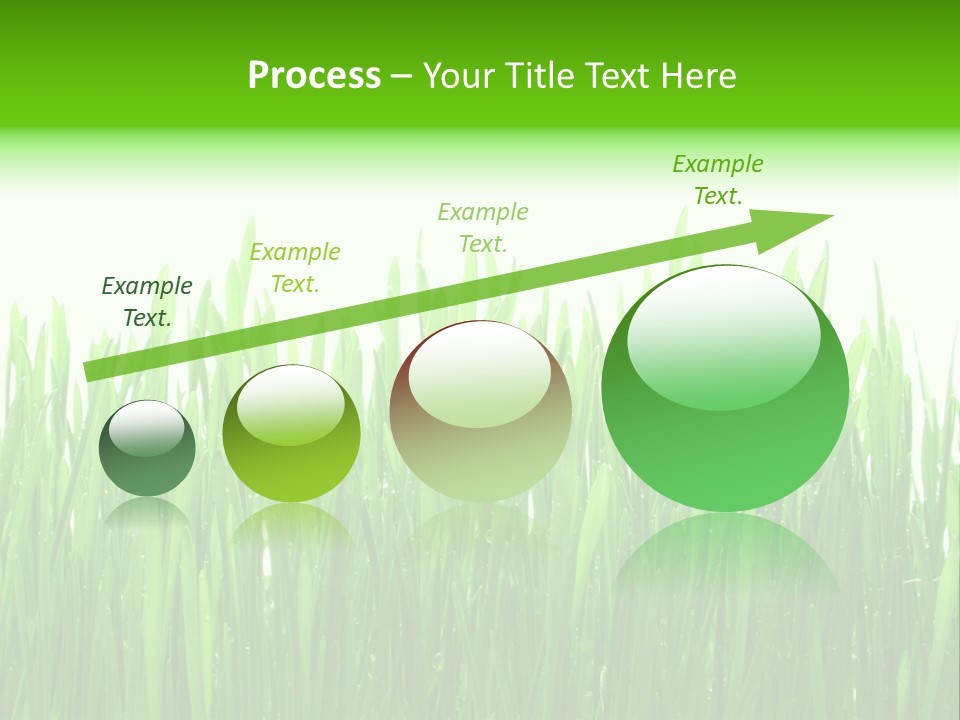 Background Bright Day PowerPoint Template