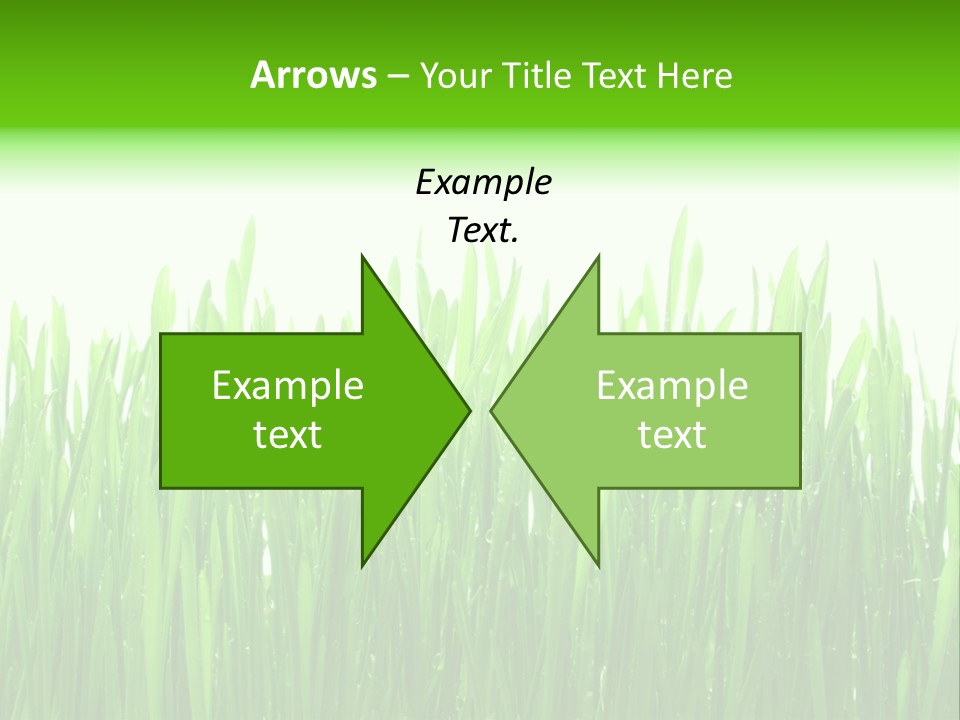 Background Bright Day PowerPoint Template