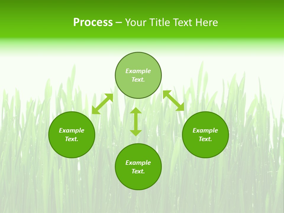 Background Bright Day PowerPoint Template