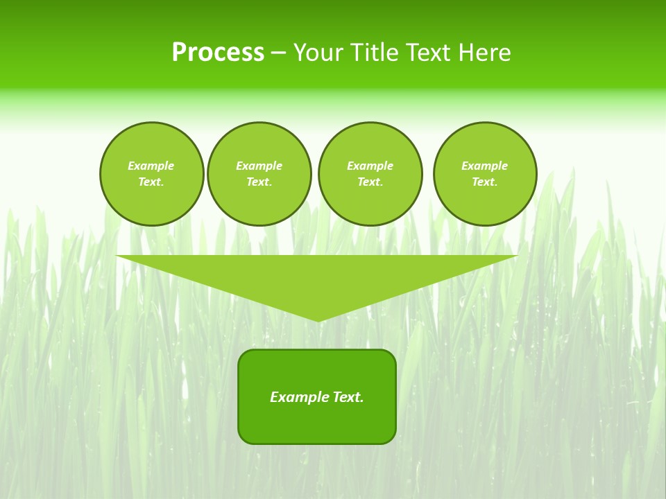 Background Bright Day PowerPoint Template