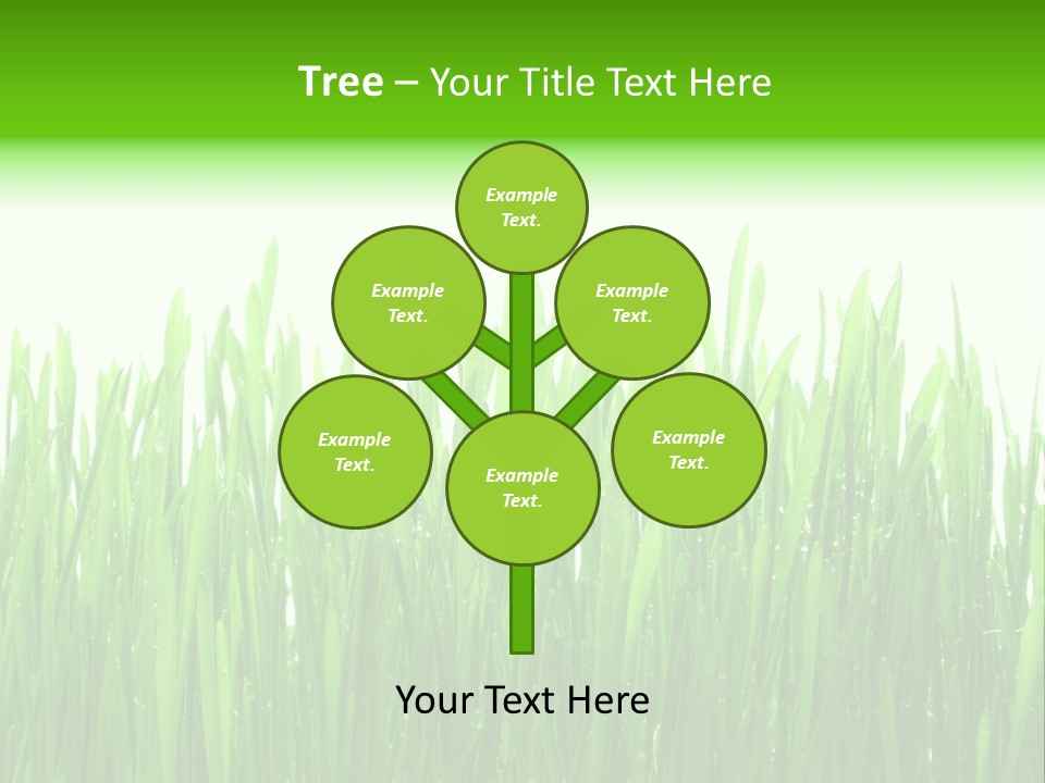 Background Bright Day PowerPoint Template