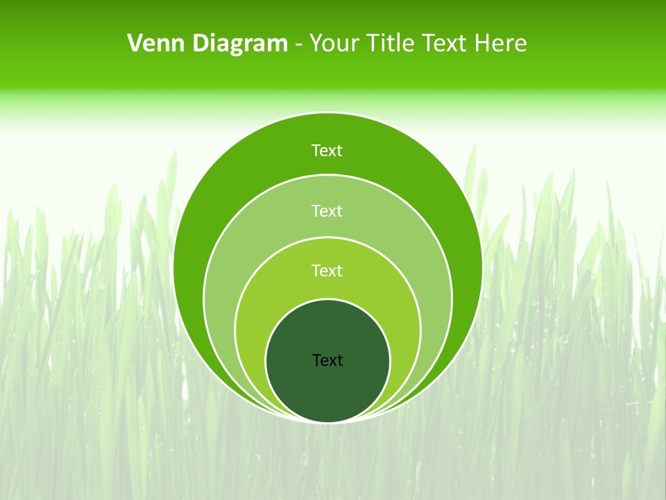 Background Bright Day PowerPoint Template