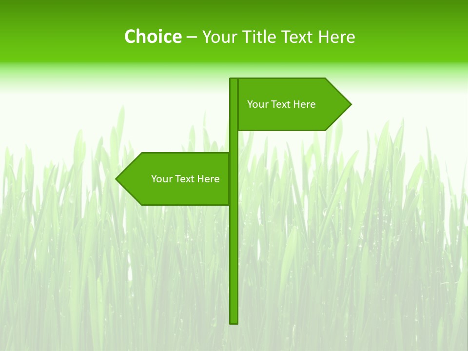 Background Bright Day PowerPoint Template