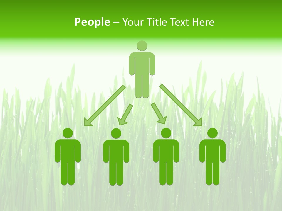 Background Bright Day PowerPoint Template